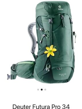Deuter Futura Pro 34 Women's Backpack in Forest Green